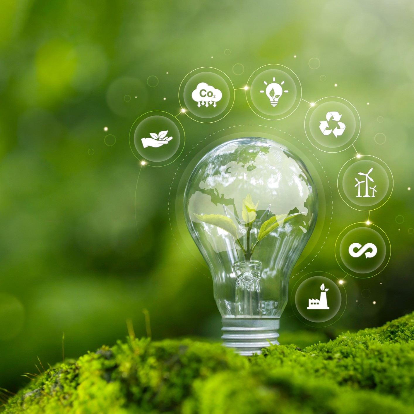 The incentive landscape under the current administration